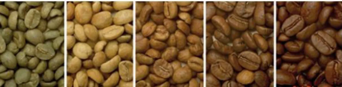 Figure n° 1 : Évolution de la couleur du grain de café au cours de la torréfaction 