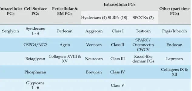 Table 1 Proteoglycans as described in Iozzo and Schaefer 2015. 