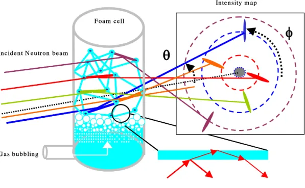 Figure 1. Sketch of foam produced by bubbling in a cell, with incident and reflected beams 