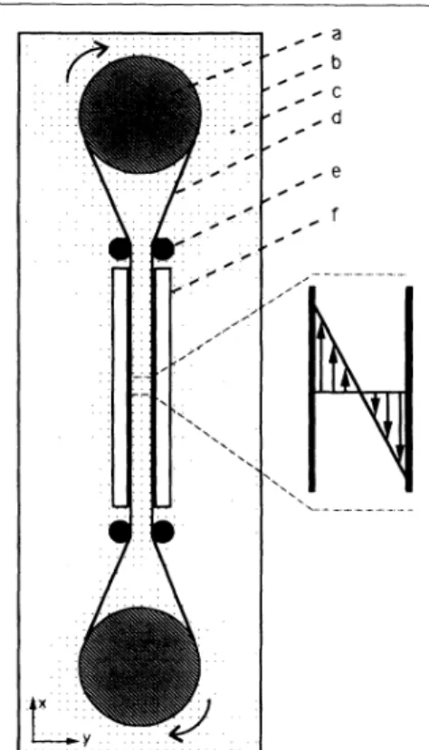 FIG. 1. Schematic drawing of the experimental apparatus in a horizontal plane. (a) Large cylinders, (b) tank, (c) water, (d) clear plastic belt, (e) small cylinders, and (f) glass plates.