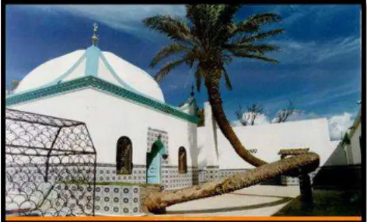 Figure 5 : le palmier de sidi Lakhdar/source : Wikipédia      -4.2.2.La trouée entre sidi Saïd et sidi Abdallah: 