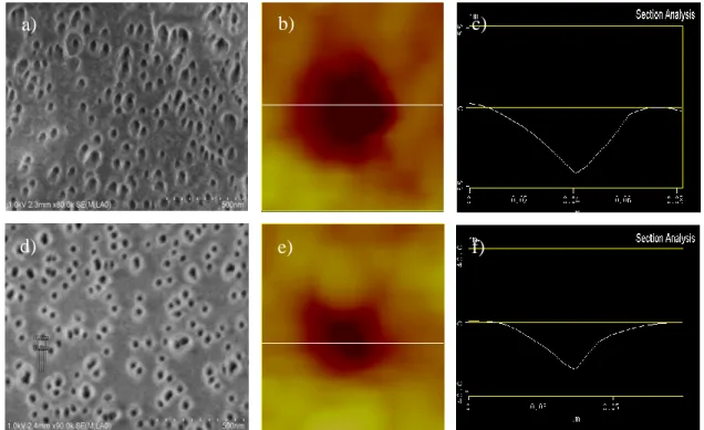 Figure  6.    a-c)  FESEM  photo,  AFM  image  and AFM  line  profiles  of  an ungrafted -PVDF  membrane irradiated with a fluence of 1x10 10  ions/cm 2  and 30 minutes of etching and d-f) the  same membrane after PAA grafting
