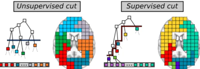 Figure 2: Top-Down step (Pruning of the tree) - step 2.1.2. In the unsupervised cut approach, (left) Ward’s tree is divided into 6 parcels through a horizontal cut (blue)