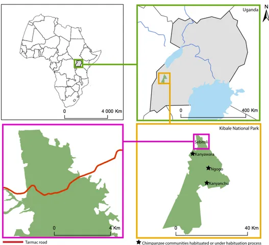 Figure 1. Location of Kibale National Park and Sebitoli study area.