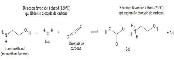 Figure III.4 : les Réactions qui libre et capte le dioxyde de carbone 