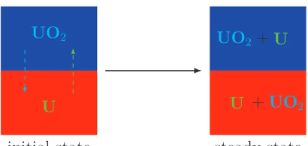 Figure 5: U-O system initial configuration and steady state