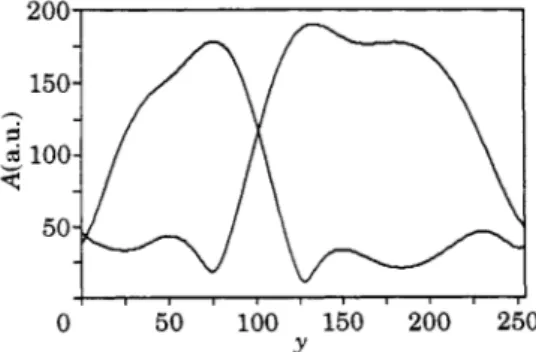 Fig.  5.  -  Wave  amplitude profiles  A  corresponding to  the  travelling-wave state  of  fig