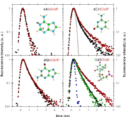 Figure 1. Fluorescence decays for the four nucleosides (black) and four nucleotides (red)