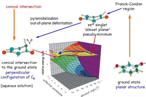 Figure 2.The picture emerging today for the uracil S *  excited state dynamics in aqueous solution