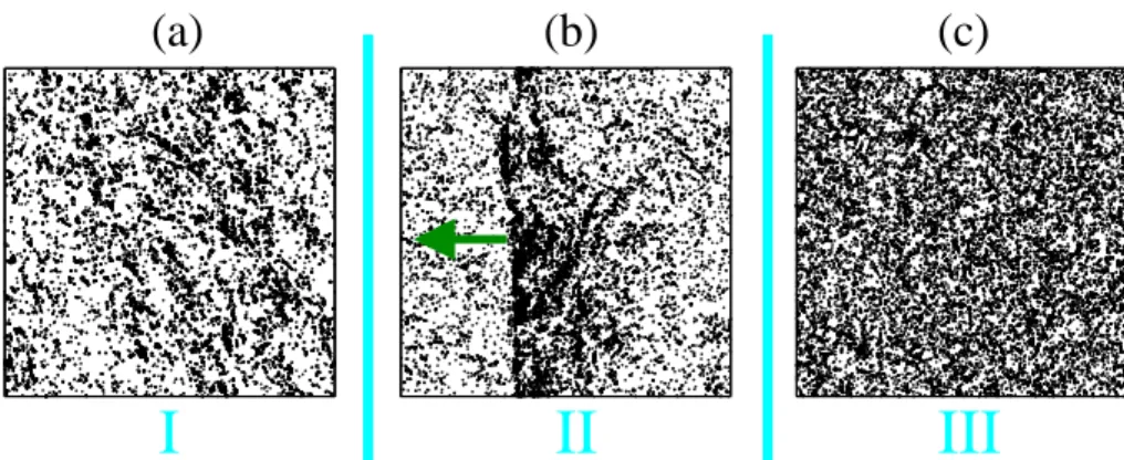 Figure 1. Typical steady-state snapshots for SPP with polar alignment at different noise values (linear size L = 512, particle density ρ = 1/8, active speed v 0 = 1/4)