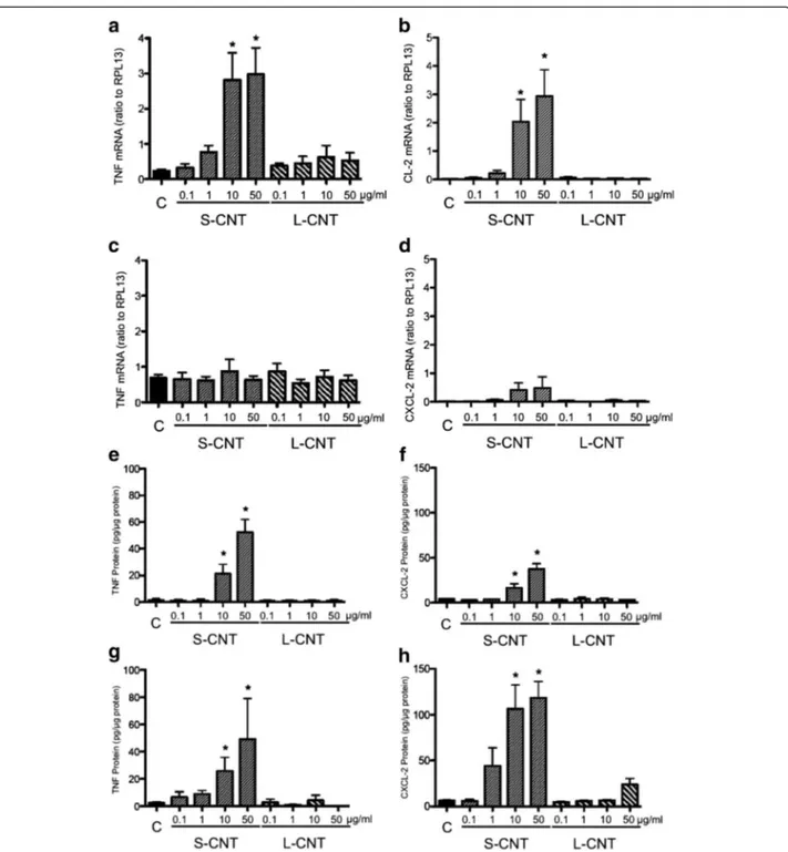Figure 7 mRNA and protein expression levels of inflammatory cytokines. Quantification of mRNA expression levels of TNF (panel a and c) and CXCL-2 (panel b and d) in RAW 264.7 macrophages exposed to 0.1-50 μg/mL of S- and L-CNT for 6 (panel a and b) or 24 (