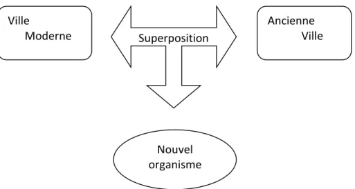 Figure 4 : le résultat d’un nouvel organisme. 