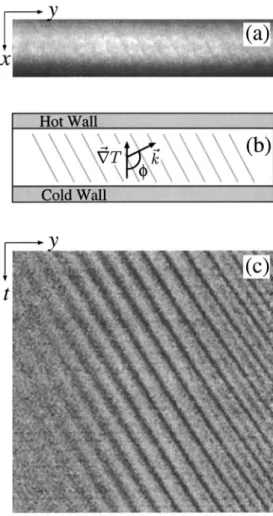 FIG. 8. Traveling waves, h ⬍ h c . 共 a 兲 Shadowgraphic image and 共 b 兲 sche- sche-matic drawing of the pattern in an horizontal plane; 共 c 兲 spatiotemporal  evo-lution for L x ⫽ 30 mm, L y ⫽ 250 mm, h ⫽ 1.6 mm, and ⌬ T ⫽ 5.6 K
