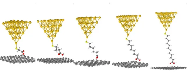 Figure 6.  Atomic representation of the different hybrid Au–graphene alkane-based molecular  junctions using thiolate and carboxylic acid anchoring groups at each extremity