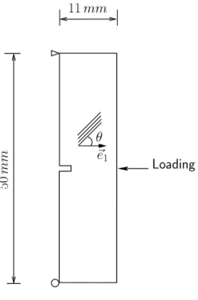 Figure 2: Sample specimen with a notch. Geometry and boundary conditions.
