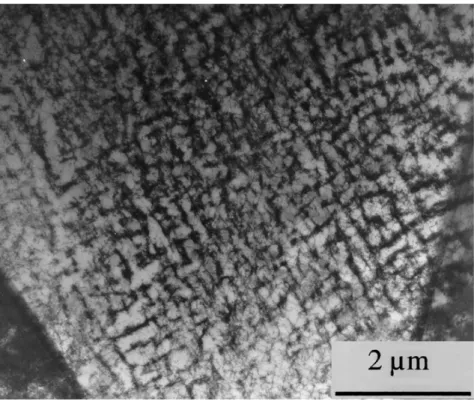 Fig. 1. Example of a dislocation microstructure in an austenitic steel (labyrinth microstructure)
