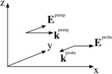 FIG. 1. PIC simulation setup: The pump propagates along the x-direction and is polarized along y, while the probe propagates along the (negative) y-direction and is polarized along x.