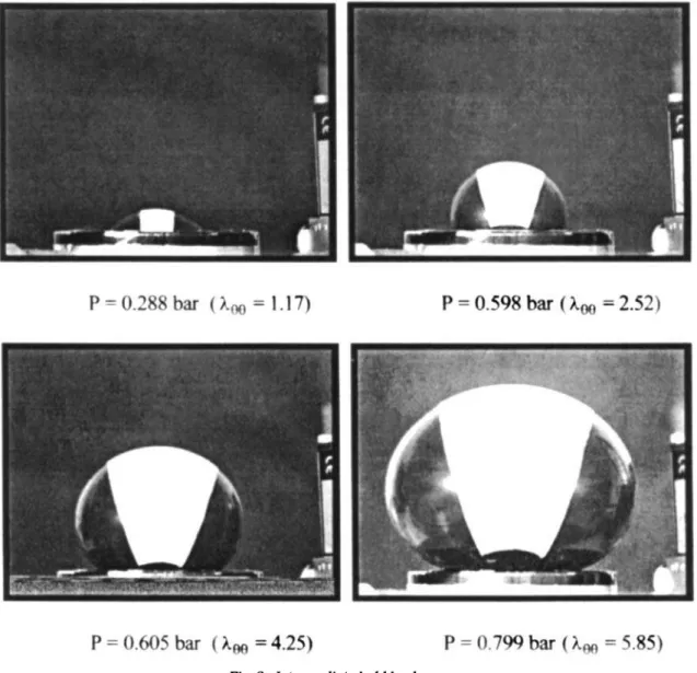 Fig.  3.  In-  '  bubble shapes. 