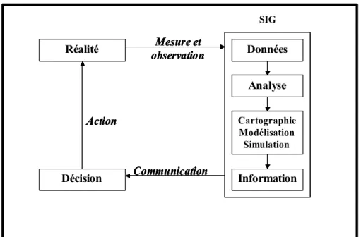 Figure I. 4 - Les SIG de la réalité à la décision  I.1.3.4 Niveaux d'information dans les SIG 