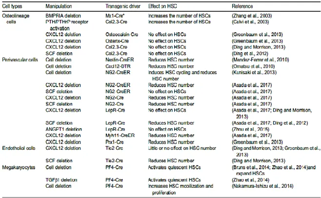 Table 1 : Analyses génétiques des différents composants cellulaires et moléculaires de la niche médullaire  des CSHs