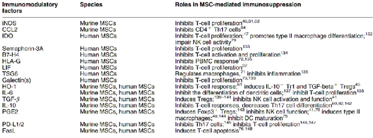 Table 2 résumant les facteurs critiques pour l’immunosuppression médiée par les MSCs. Table extrait de (Ma  et al., 2014))