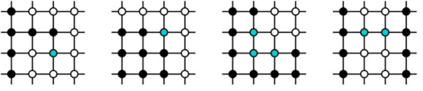 Figure 7: 4 × 4 portion of Z 2 , where X is in black or blue. By convention, the color of nodes extends infinitely in any direction