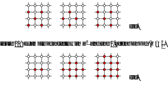 Figure 11: Example of an infinite trajectory with Z 2 and the 1-neighborhood (q = 1 4 ).