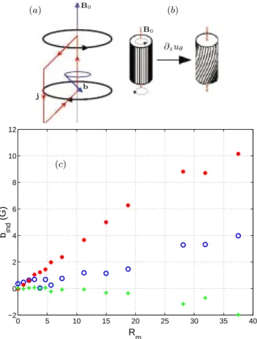Fig. 3. Ω effect. (a): sketch of the induction mechanims and induced currents; (b):