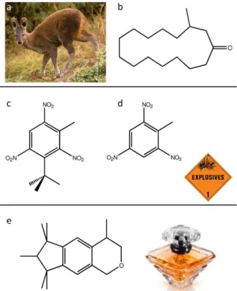 Figure  1.  a)  Musk  Deer,  b)  A  musky  odor  molecule  of  animal  origin:  muscone