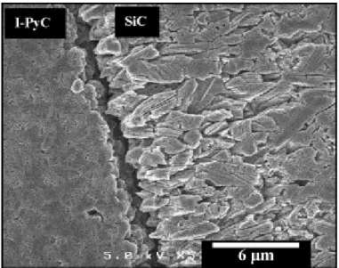Fig. 1. SEM micrograph in cross section of a SiC layer of HTR fuel particle after chemical  etching [5]