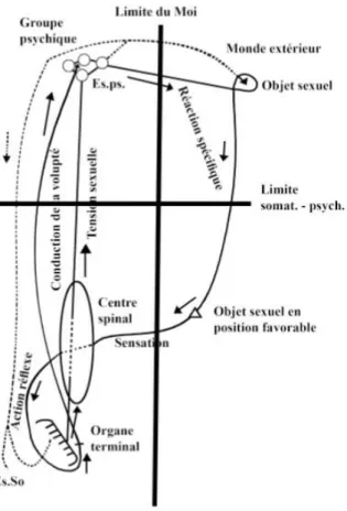 Figure 7. Les marqueurs somatiques (pulsions) dans l’intersubjectivité et la cognition sociale  Ce schéma date de 1895 et nous présente le circuit de la pulsion sexuelle (libido) partant du corps pour ensuite  rejoindre l’objet et retourner finalement sur 