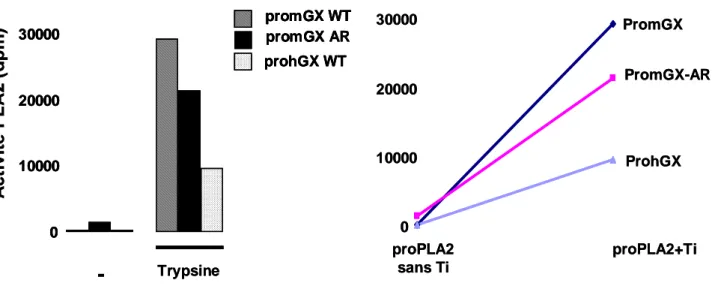 Figure 8: Test d’activation des proPLA2 par la trypsine. Les proPLA2 (500 ng) ont été incubées en  présence  de  50  ng  de  Trypsine  à  37°C  pendant  16  h  dans  le  tampon  Facteur  Xa,  puis  l’activité  enzymatique  a  été  dosée  en  utilisant  com