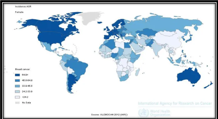 Figure 7: Taux d'incidence standardisés sur la population mondiale des cancers du sein de la  femme en 2012 (pour 100 000) 