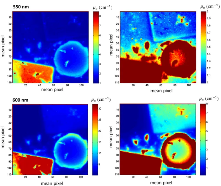 Fig. 14 Wide-field μ b s 0 map for 550 and 600 nm. The image size is 330 × 330 pixels corresponding to an FOV of 34 