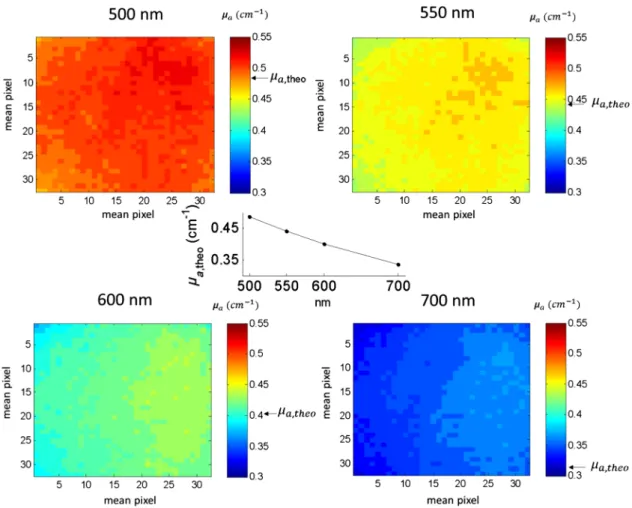 Fig. 7 Wide-field multispectral μ ^ a quantification for an unknown phantom having μ a;theo specified by the central figure and marked by the black arrows on the colorbars