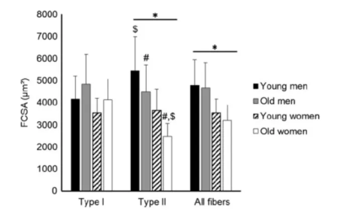 Figure 3 Fibre cross-sectional area (FCSA) in the vastus lateralis muscle of young (N = 14) and old men (N = 22) and young (N = 5) and old women (N = 6) according to ﬁ bre type (type I and II and ‘ all ﬁ bres ’ )
