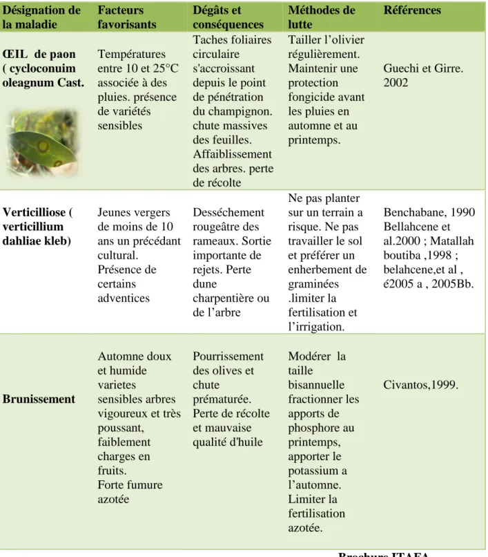 Tableau N°10 : les principales maladies fongiques et bactériennes de l’olivier. 