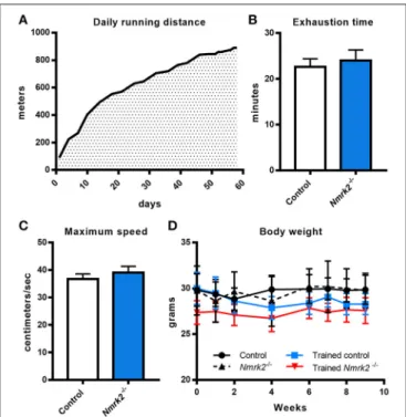 FIGURE 1 | Daily running distance during endurance training, endurance test and body weight evolution