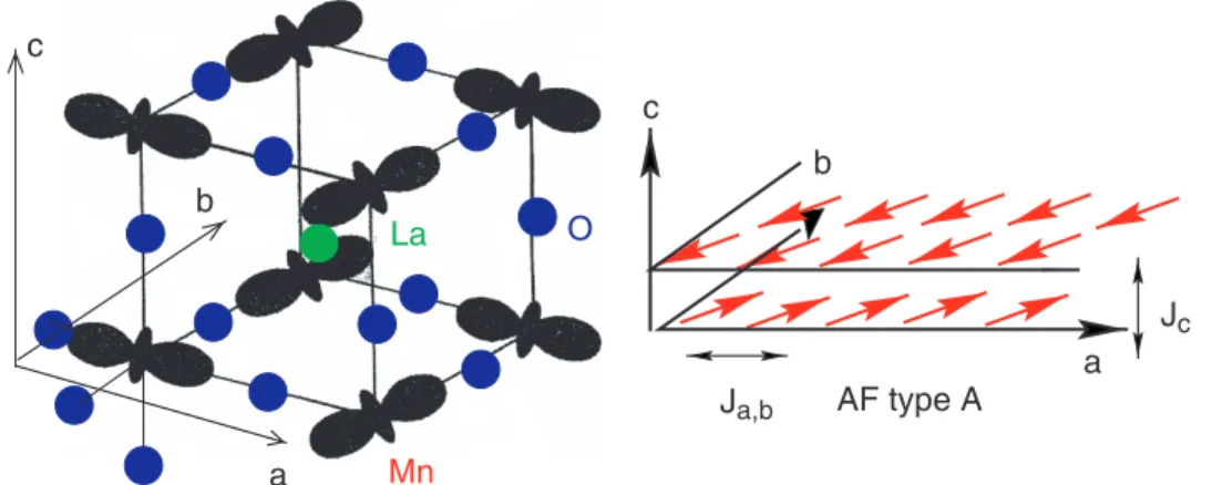 Figure 1. Orbital structure (left panel) and AF structure of type A (right panel) in LaMnO 3 .