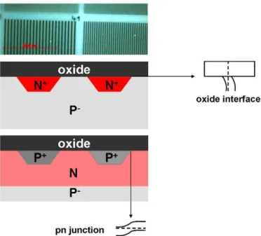 Fig.  1. Optical  micrograph  of  doped  pattering  schematic  cross-section  of  samples  N + /P −  and  P + /N