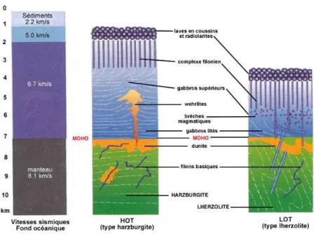 Figure 4 - Profils lithosphériques comparés HOT et LOT, et section définie par la sismique pour un fond océanique 