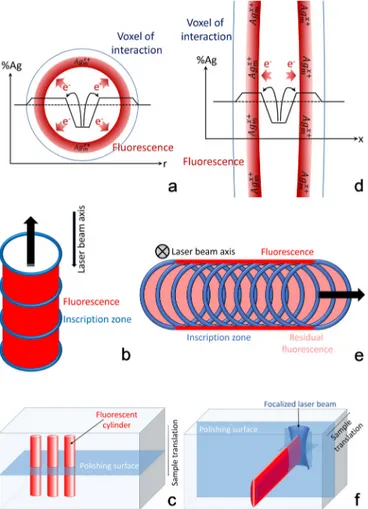 FIG. 1. Top view of the diameter (a) and side view of the confocal parame ter trace (d) of the interaction voxel, and fluorescent silver cluster location resulting from electron trapping combined with silver ion migration;
