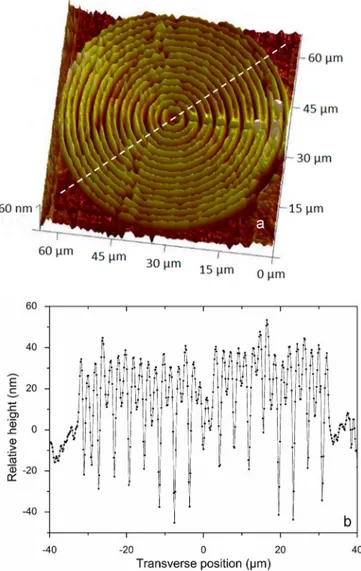 FIG. 6. Surface induced structure thanks to the combination of DLW and DI water etching during 10 min in an ultrasonic bath (a) and its topology profile along the white dashed line (b).
