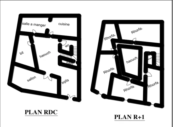 Figure 31: L'organisation spatiale des maisons à un seul niveau. 50