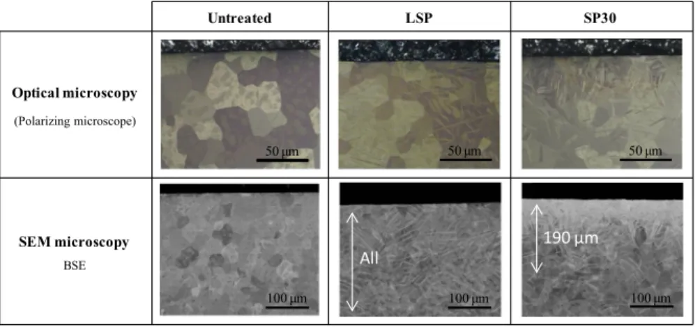 Figure 2a shows the XRD patterns before and after treatment. Titanium alpha phase was detected for all the samples, but for the SP30 sample, a second phase was detected: hexagonal tungsten carbide, WC