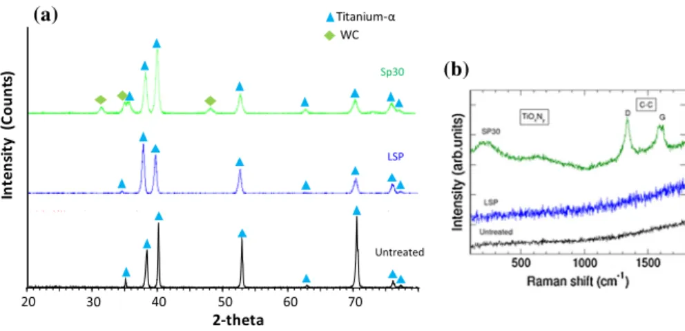 Figure 2b displays the Raman spectra obtained for the same samples. No Raman bands were found for untreated samples (black curve) as well as for LSP (blue curve)