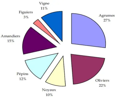 Figure n°03 : Production des agrumes par rapport aux autres cultures fruitières en Algérie  (Guenouni et kacemi, 2013) 