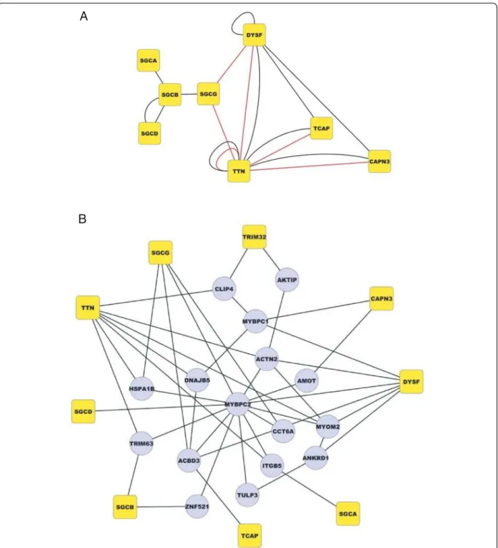 Figure 6 The network linking the LGMD proteins. A/ Interactions between pairs of LGMD proteins
