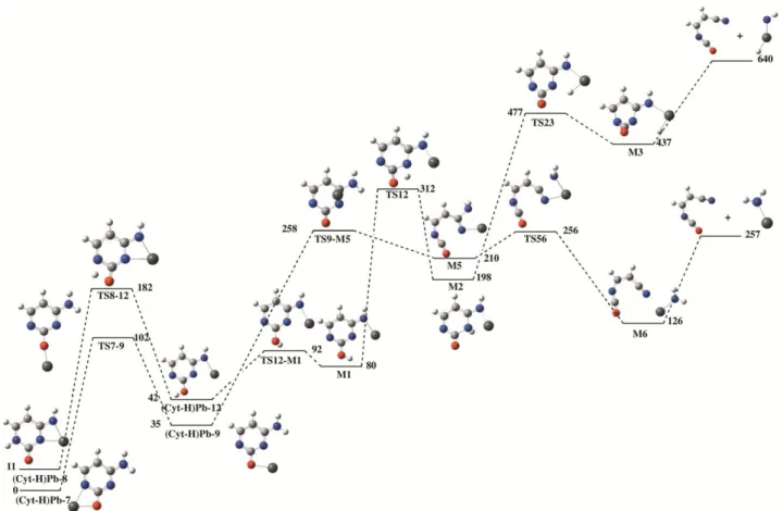 Figure 5. Energy profiles associated with the formation of the [PbNH 2 ] +  ion. Relative energies (kJ  mol -1 )  are  calculated,  with  respect  to  the  global  minimum  (Cyt-H)-Pb7  at  the   B3LYP/6-311++G(3df,2p)//B3LYP/6-31G(d,p) level of theory