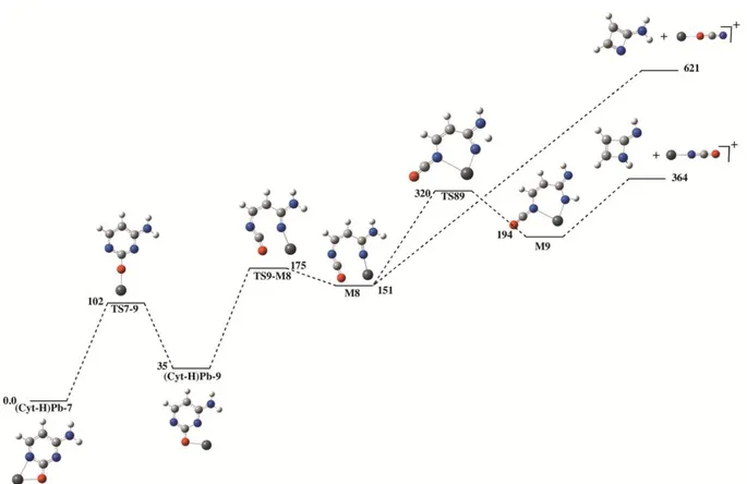 Figure 7. Energy profiles associated with the formation of the [PbN,C,O] +  ion (m/z 250)